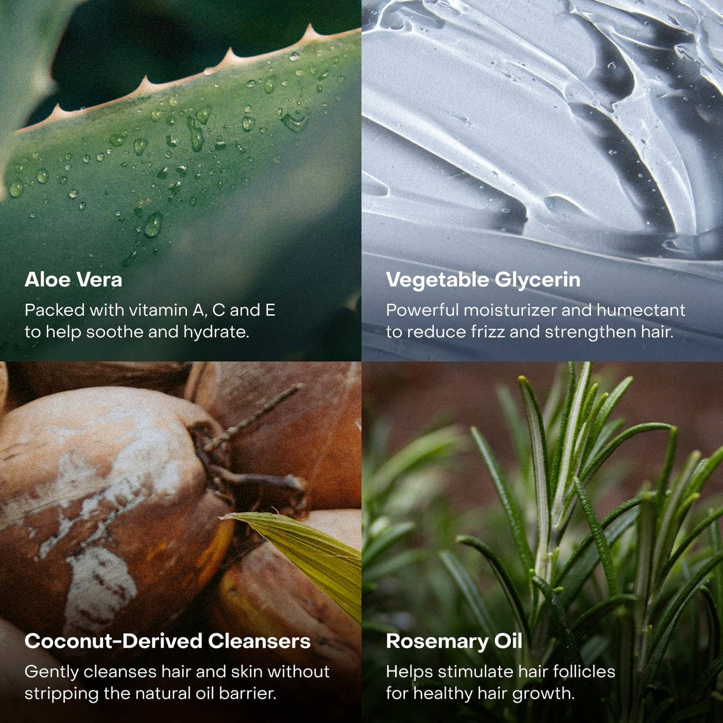 The Shampoo Concentrate - EVERIST