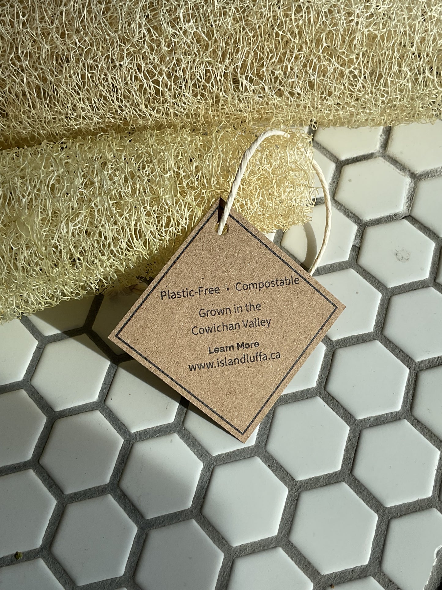 Locally Grown Luffa Soap Dish Liner