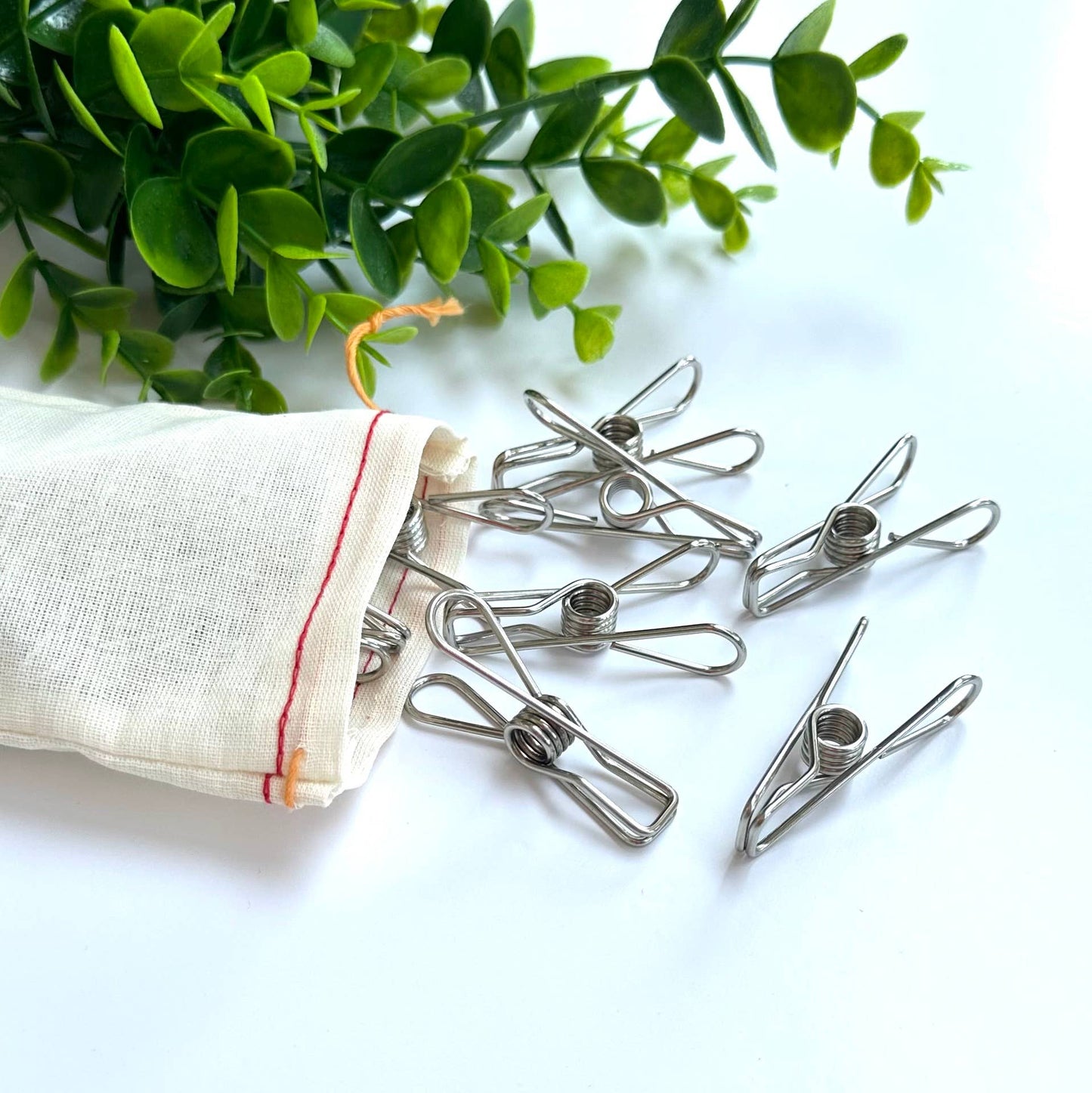 Stainless Steel Laundry Clips