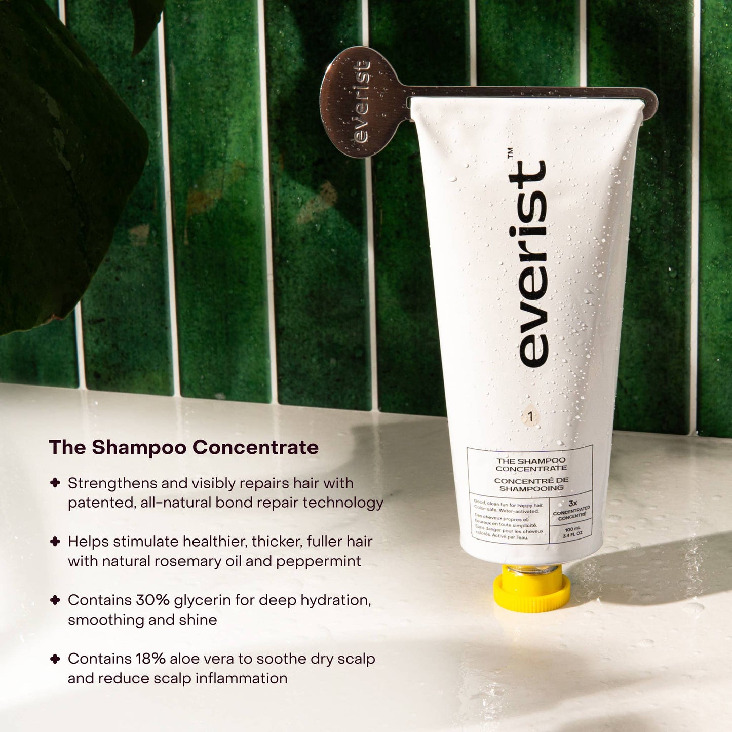 The Shampoo Concentrate - EVERIST