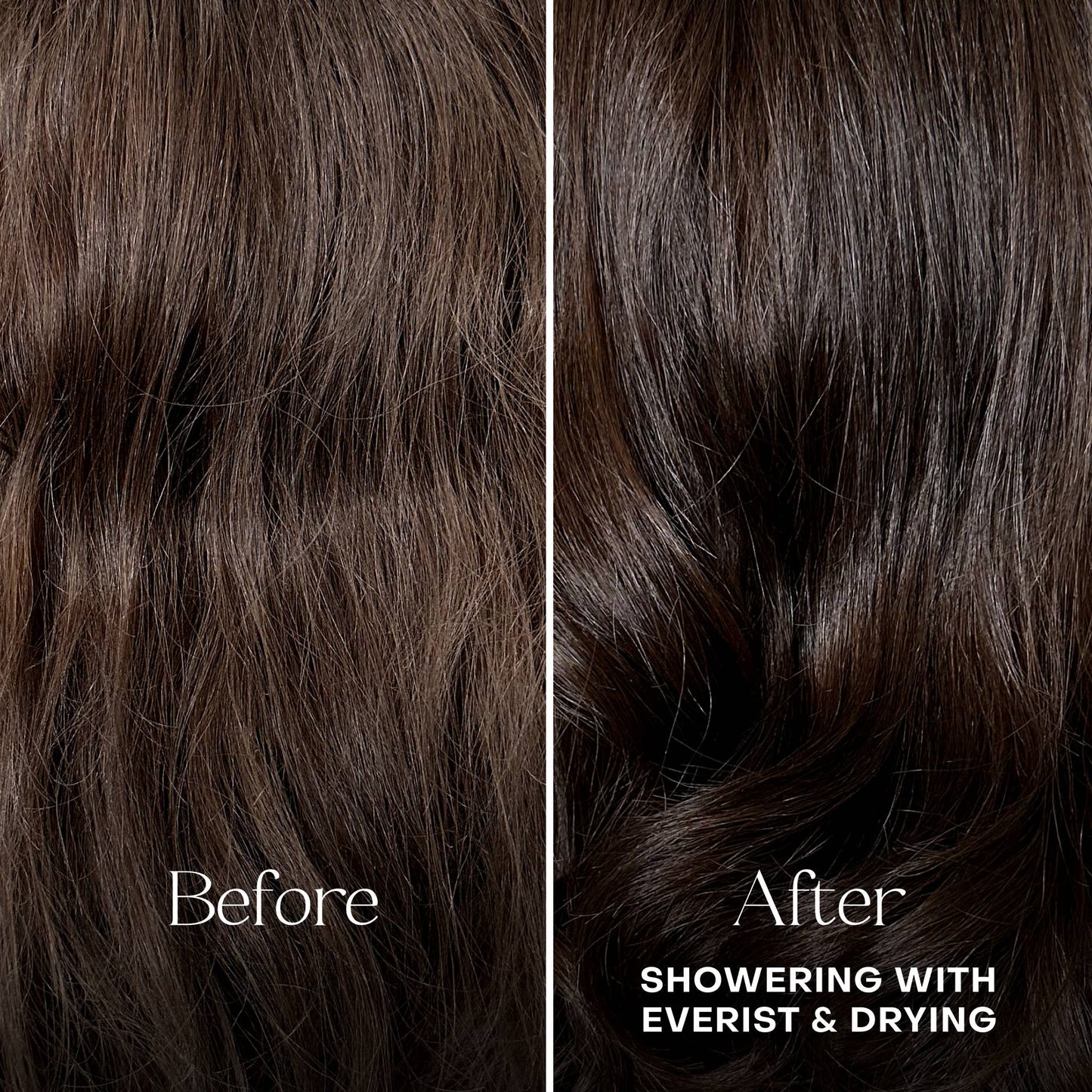 The Deep Conditioning Concentrate - EVERIST