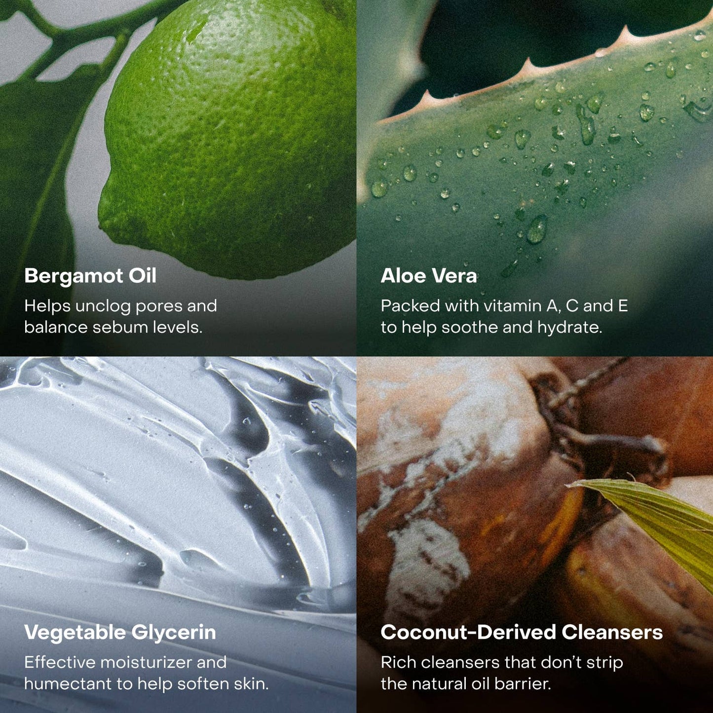 The Body Wash Concentrate - EVERIST