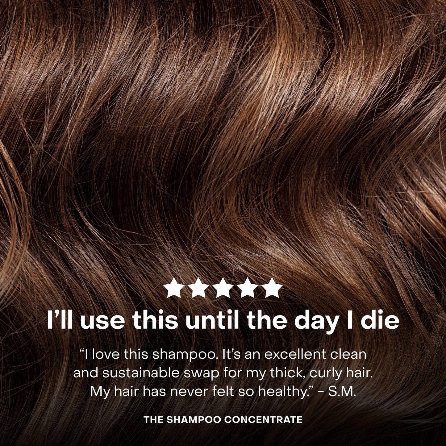 The Shampoo Concentrate Travel Mini - EVERIST
