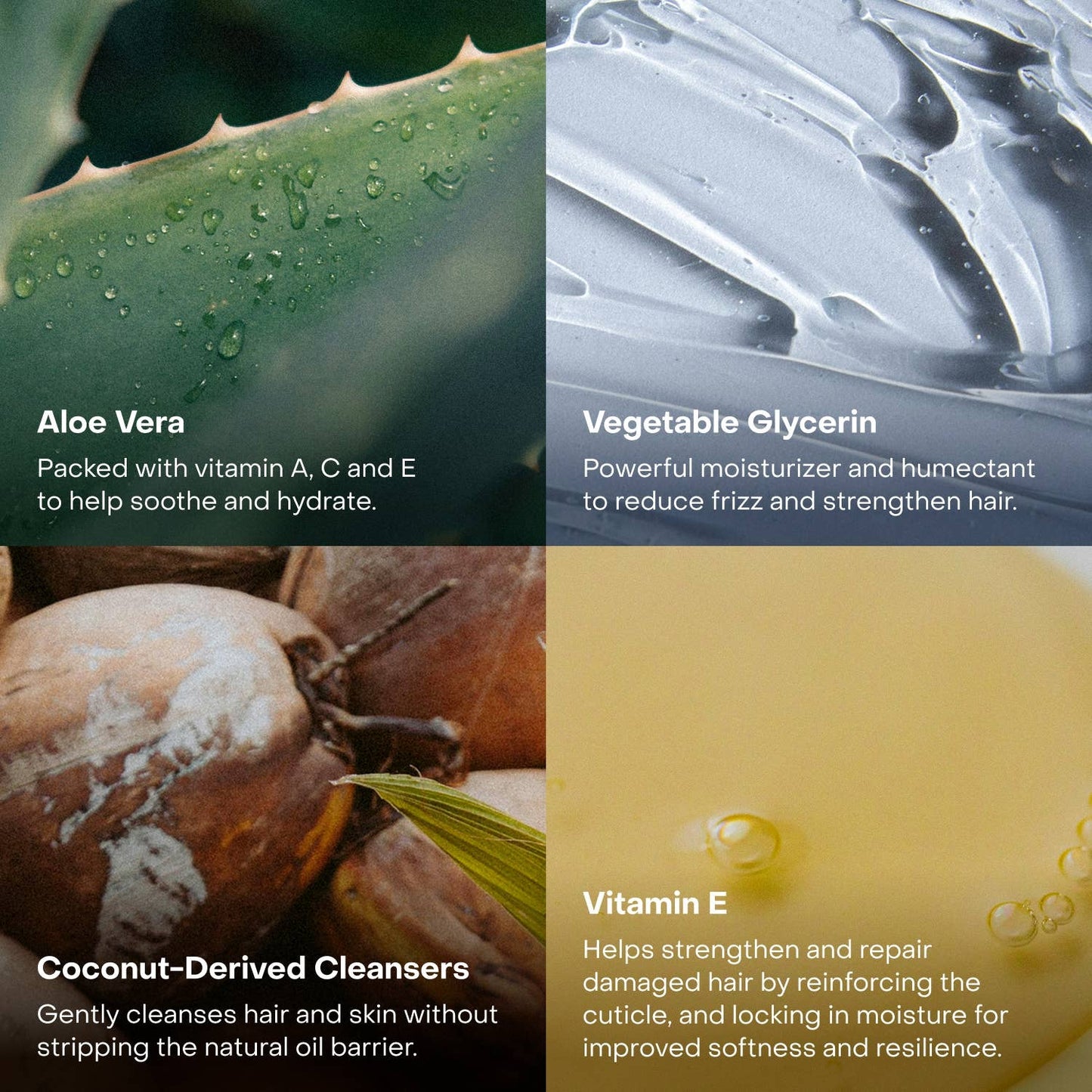 The Fragrance-Free Conditioner Concentrate Mini - EVERIST