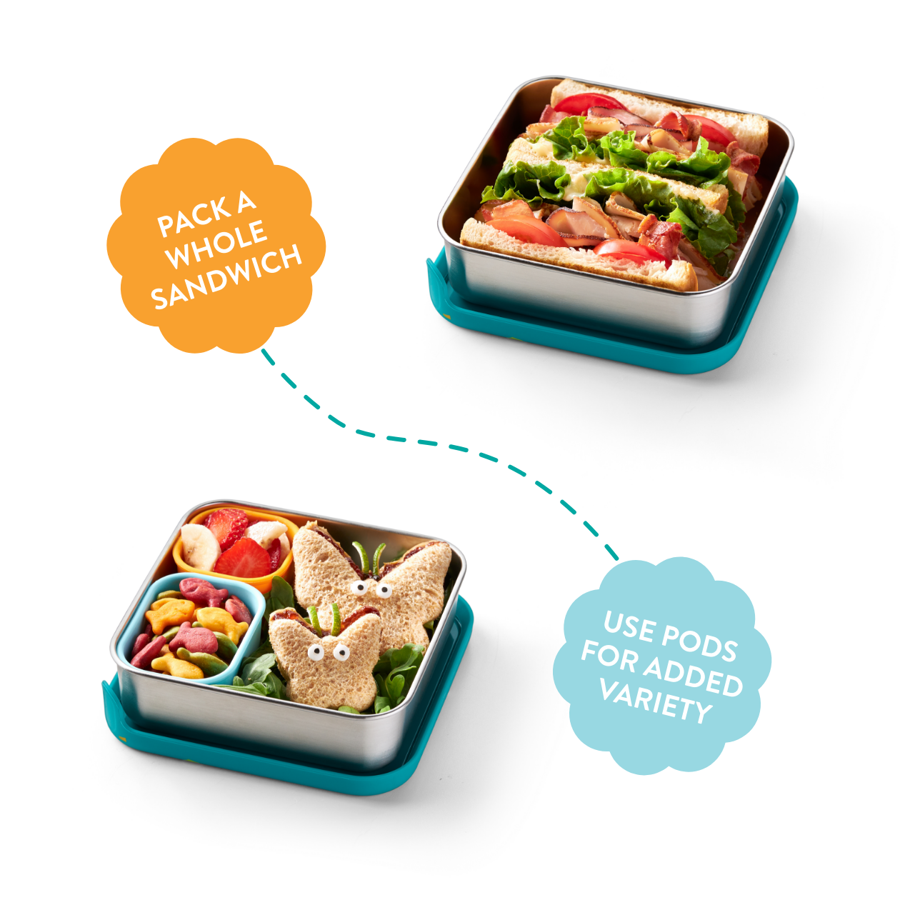 Trailblazer Sandwich Box