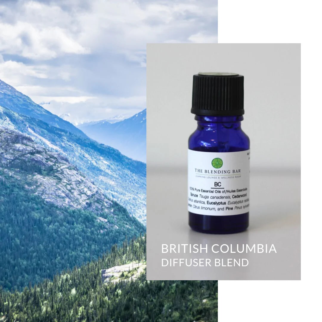 Blending Bar Essential Oil Blends- The Scent Collection