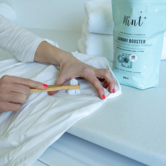 Mint Laundry Booster- REFILL/100g Online Order