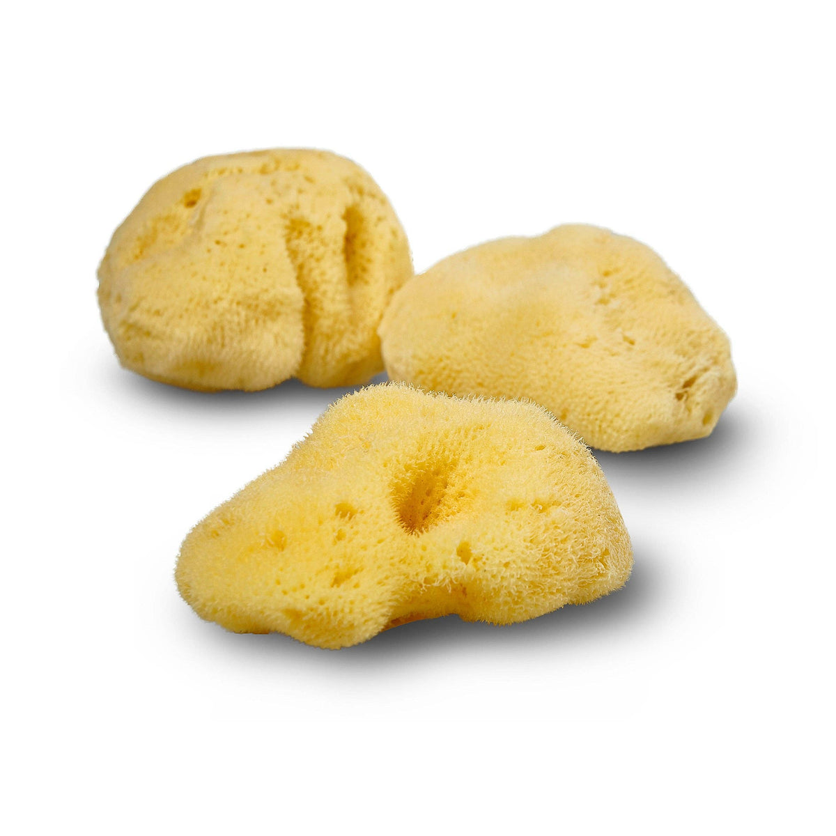 Natural Sea Sponge - Plastic Free Organic Sea Sponge