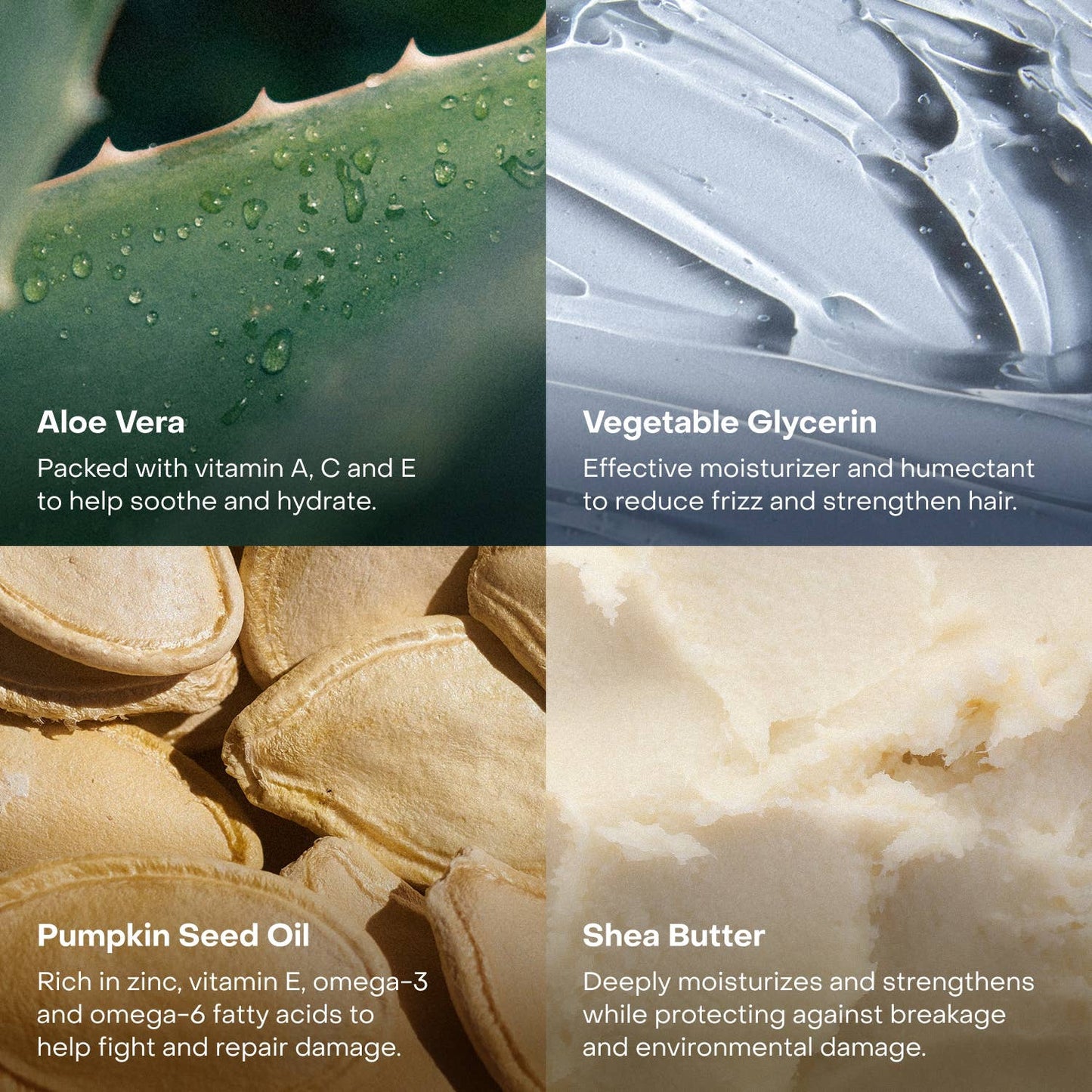 The Deep Conditioning Concentrate - EVERIST