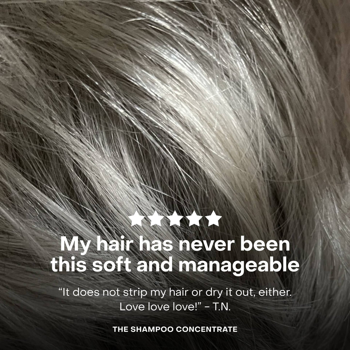 The Shampoo Concentrate - EVERIST