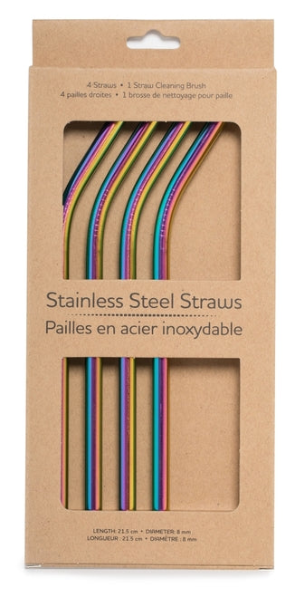 Stainless Straws, Pack of 4 with Brush