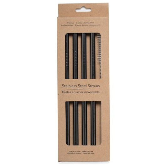 Stainless Straws, Pack of 4 with Brush