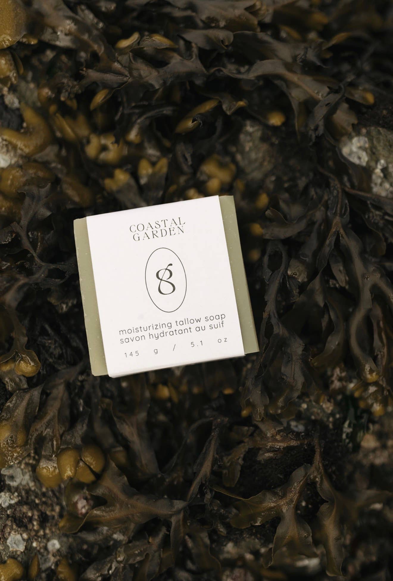 Genesis Tallow Soap Bar