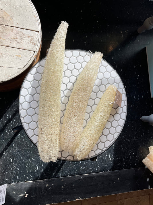 Whole Locally Grown Luffa