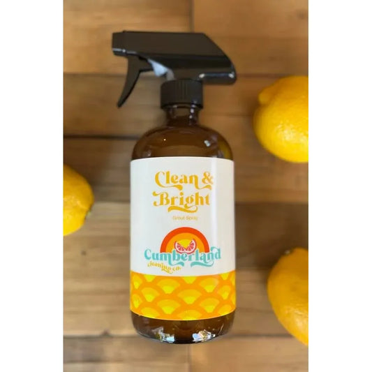 Clean & Bright Grout Spray- REFILL/100g Online Order