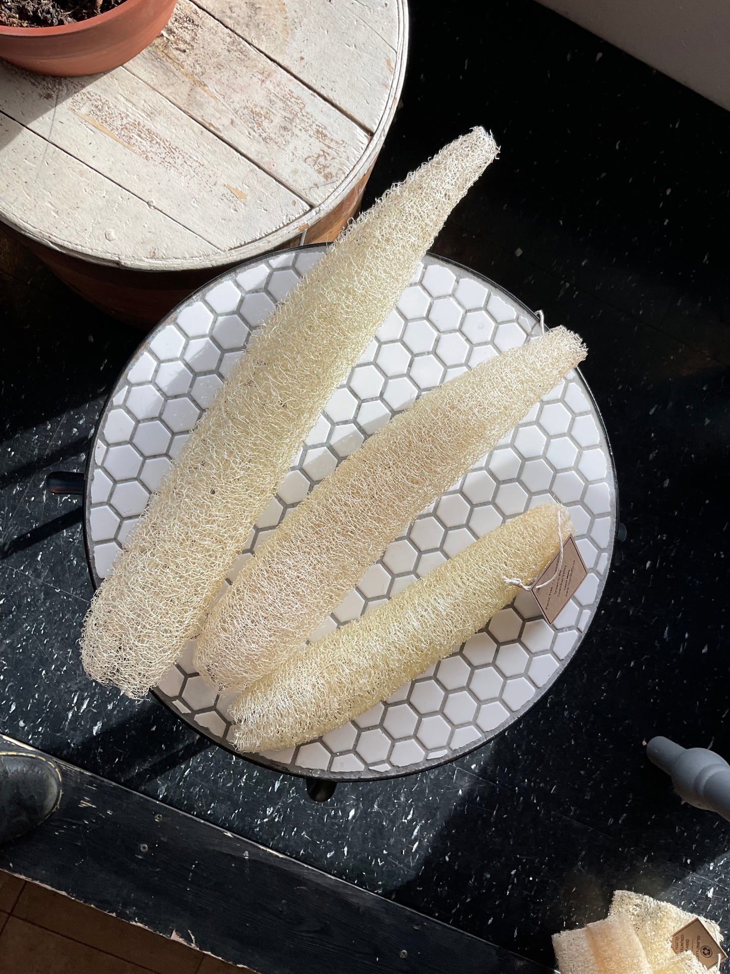 Whole Locally Grown Luffa