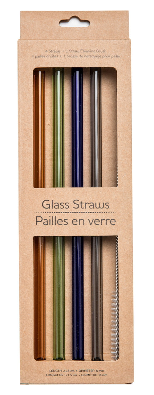 Glass Straws, Pack of 4 with Brush