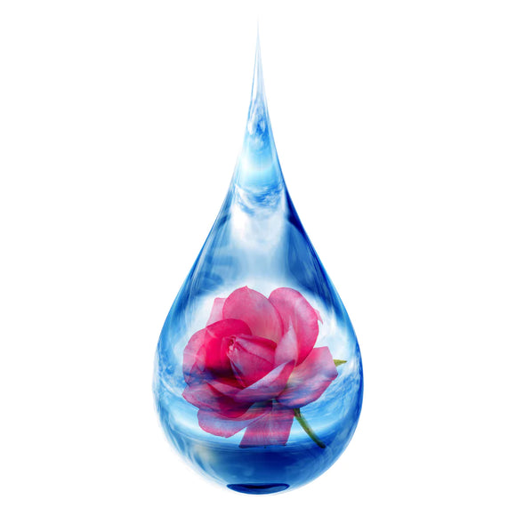 Rose Floral Water- REFILL/100g Online Order