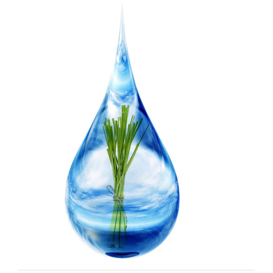 Floral Water, Lemongrass- REFILL/100g Online Order