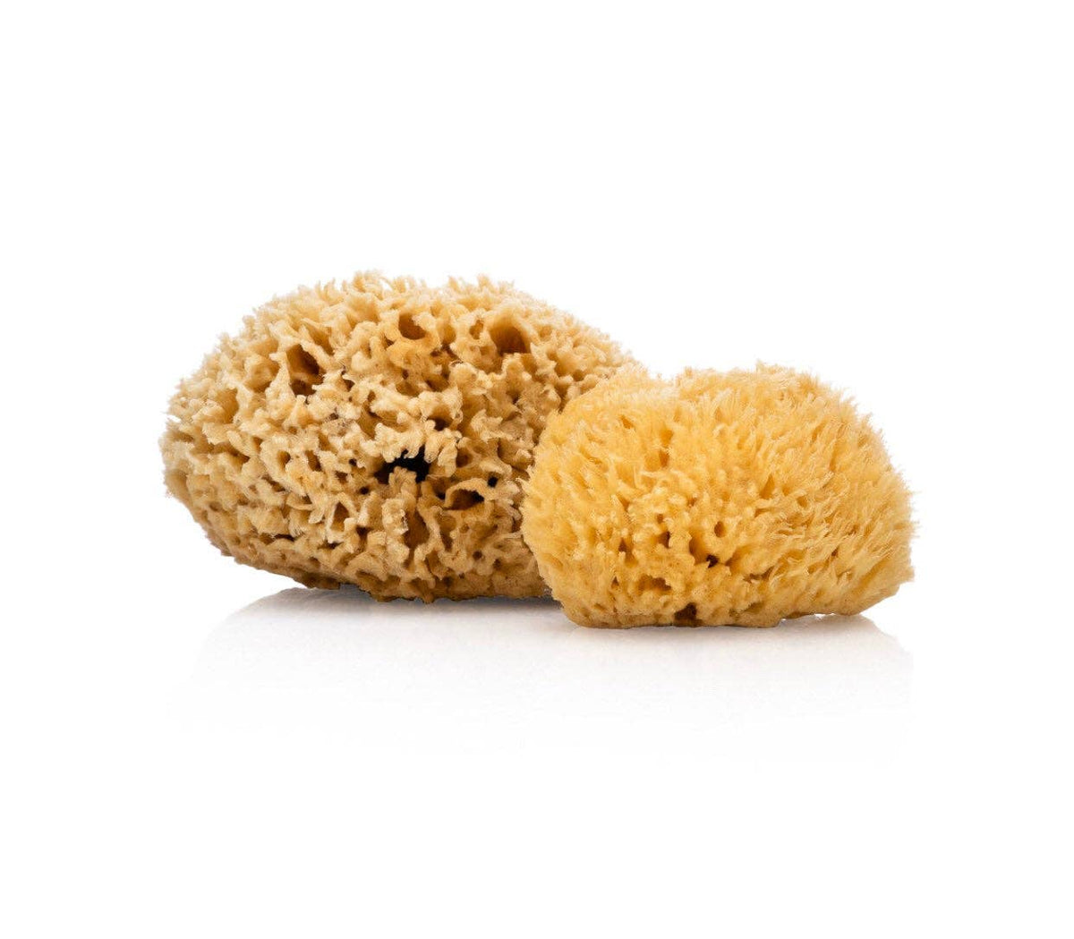 Natural Sea Sponge - Plastic Free Organic Sea Sponge