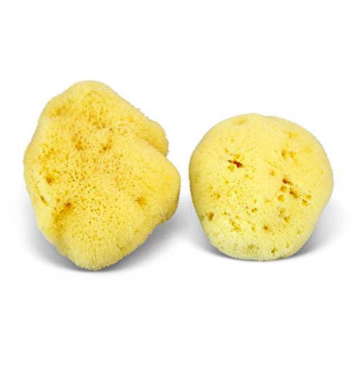 Natural Sea Sponge - Plastic Free Organic Sea Sponge