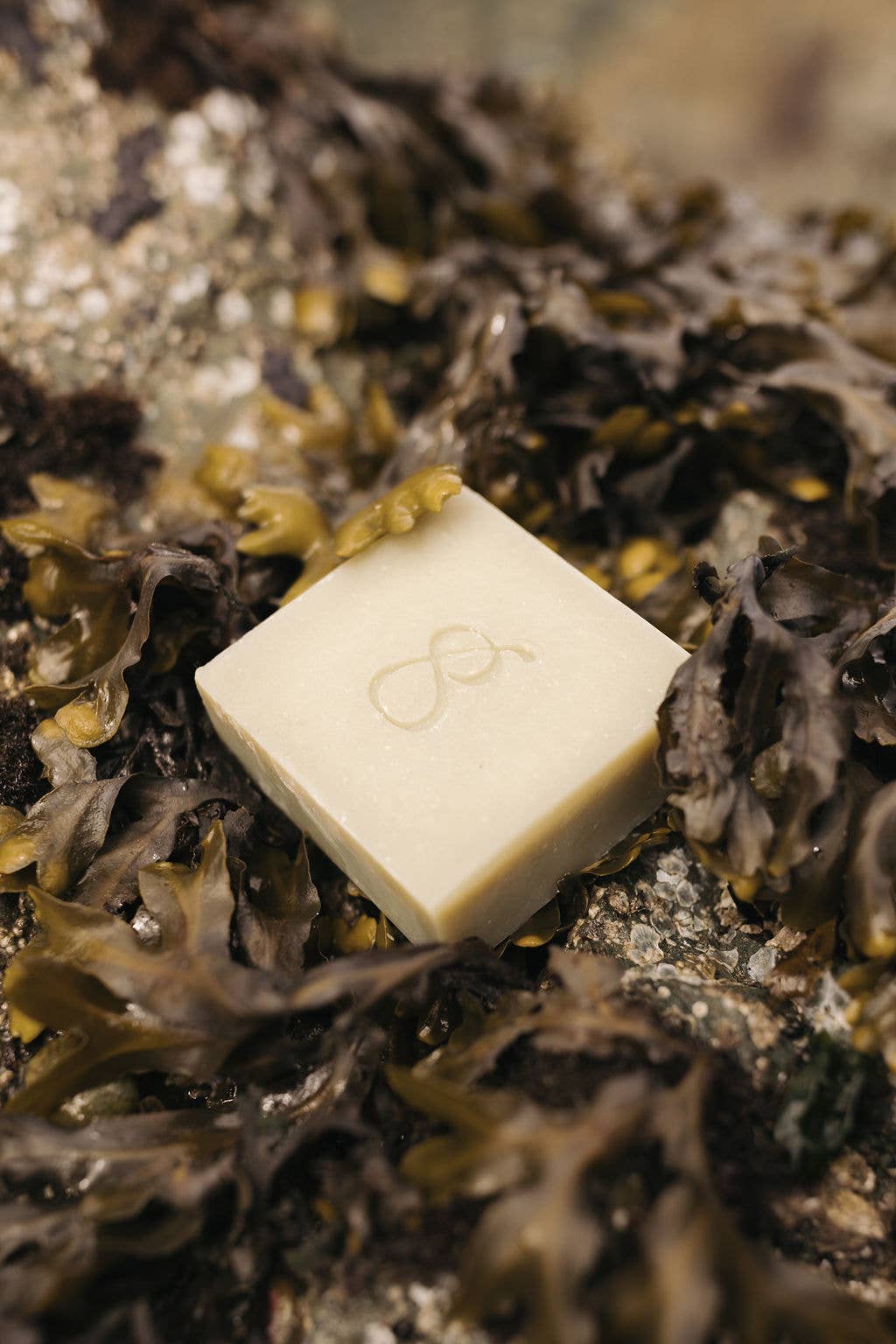 Genesis Tallow Soap Bar