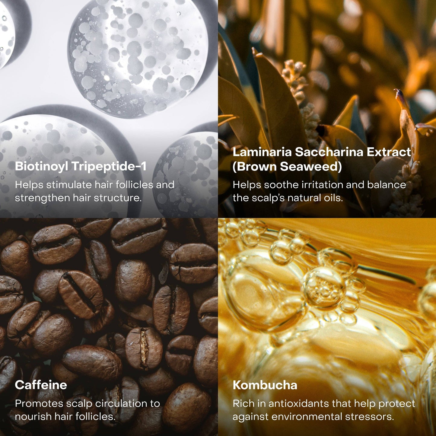 EverBoost Multi-Peptide Scalp Serum