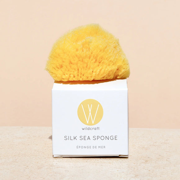 Silk Sea Sponge 2-2.5