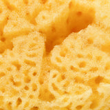 Silk Sea Sponge 2-2.5"