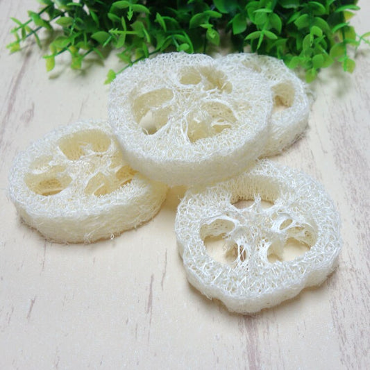 Loofah Slice Soap Lift