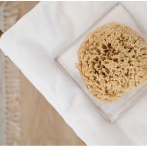Natural Sea Sponge