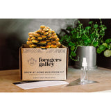 Grow Your Own Mushroom Boxes